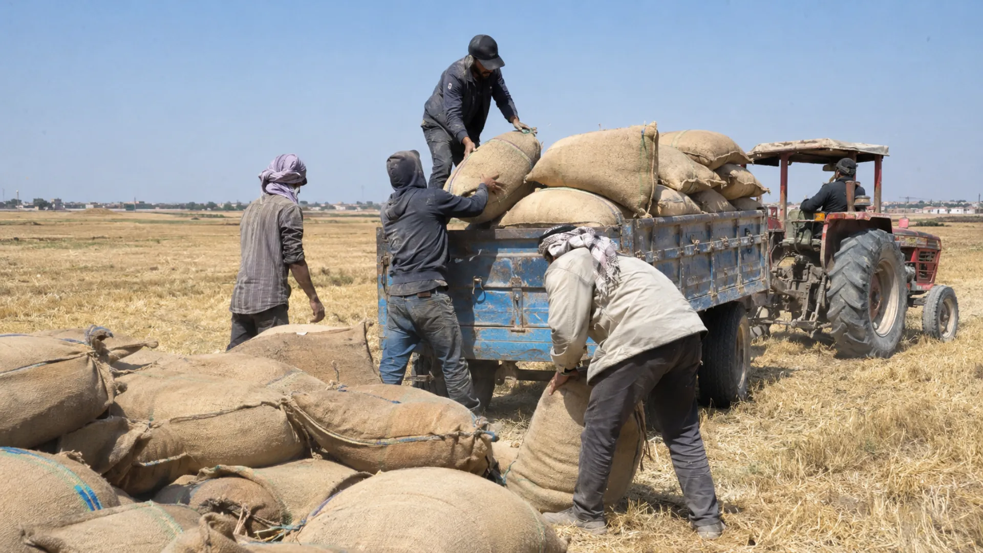 Local agricultural workers and farmers supported by community recovery initiatives